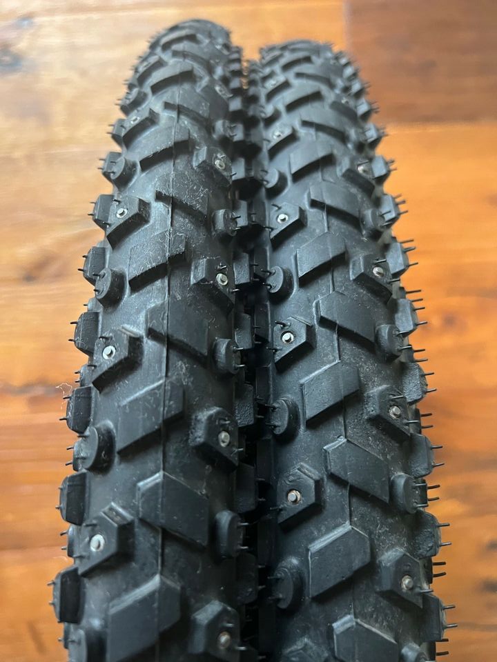 Schwalbe_Snow_Stud.jpg