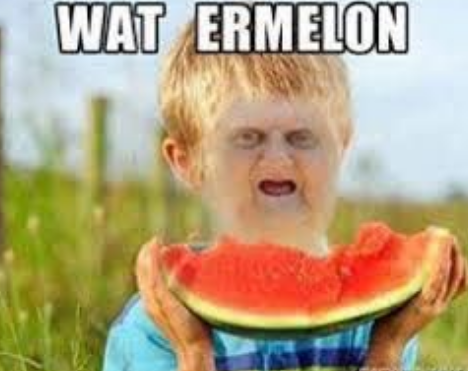 Screenshot_2022-03-18 Pin by Rochelle Z on Reaction Memes Wat meme, Watermelon, Kids hairstyles.png