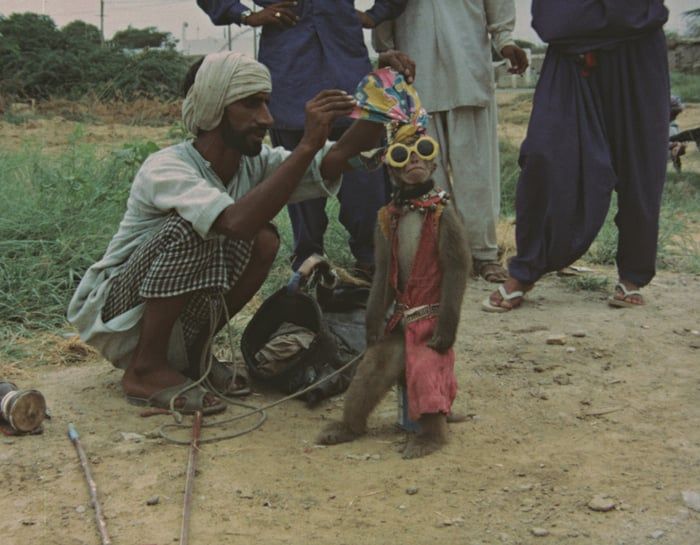 Sigmar-Polke-Quettas-hazy-blue-hair-Afghanistan-Pakistan-197476-still-da-video.jpg