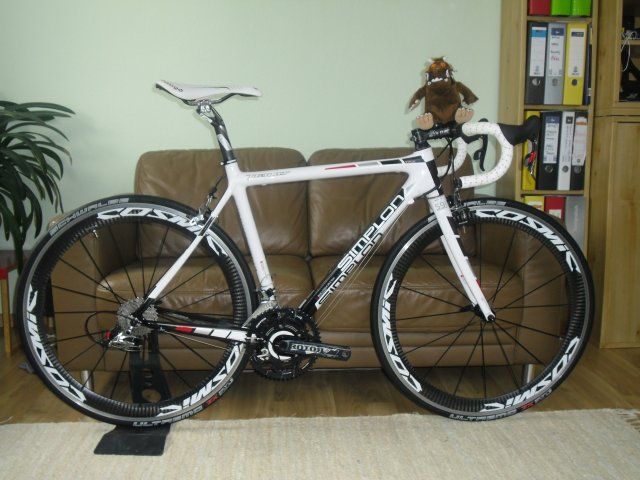 Simplon Pavo - fast fertig.jpg