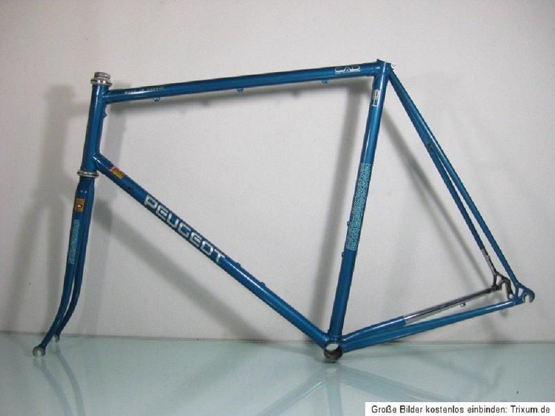 St. Bernhardt SLX.jpg