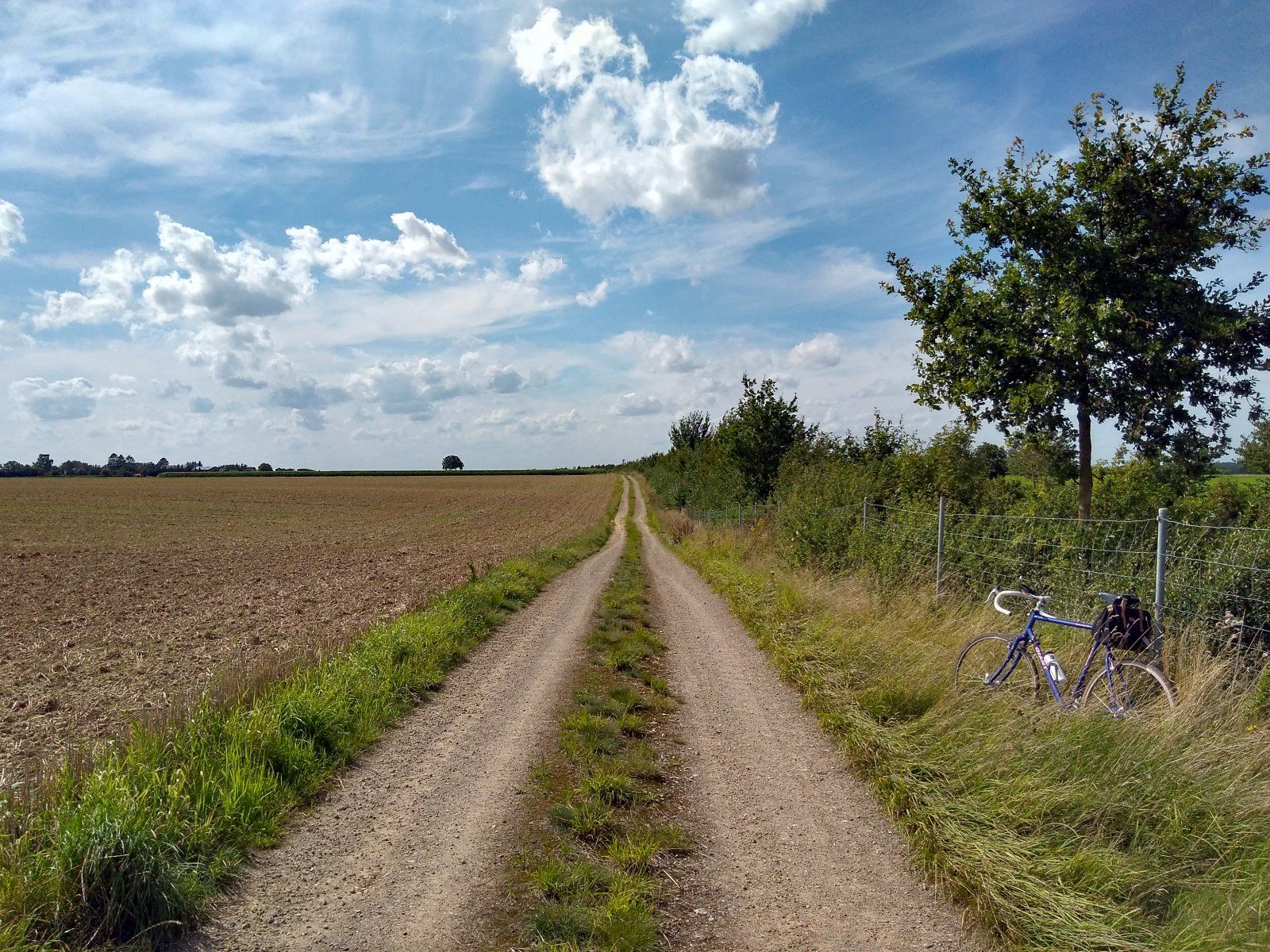 Strade Bianche Selfkantstyle.jpg