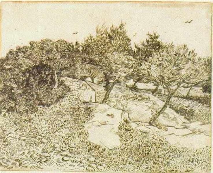 The Olive Trees, 1888 - Vincent van Gogh.jpg