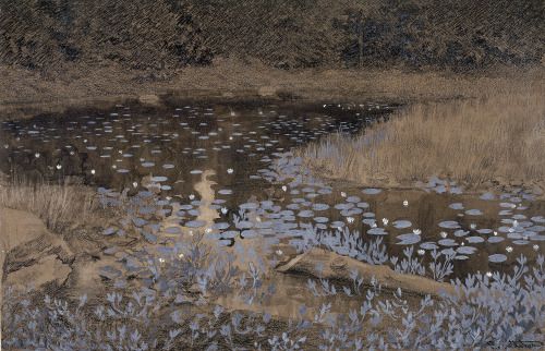 Theodor Kittelsen - Skogstjern [Forest Pond] from the Jomfruland series, 1893.jpg