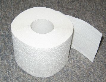 Toilet_Paper.jpg