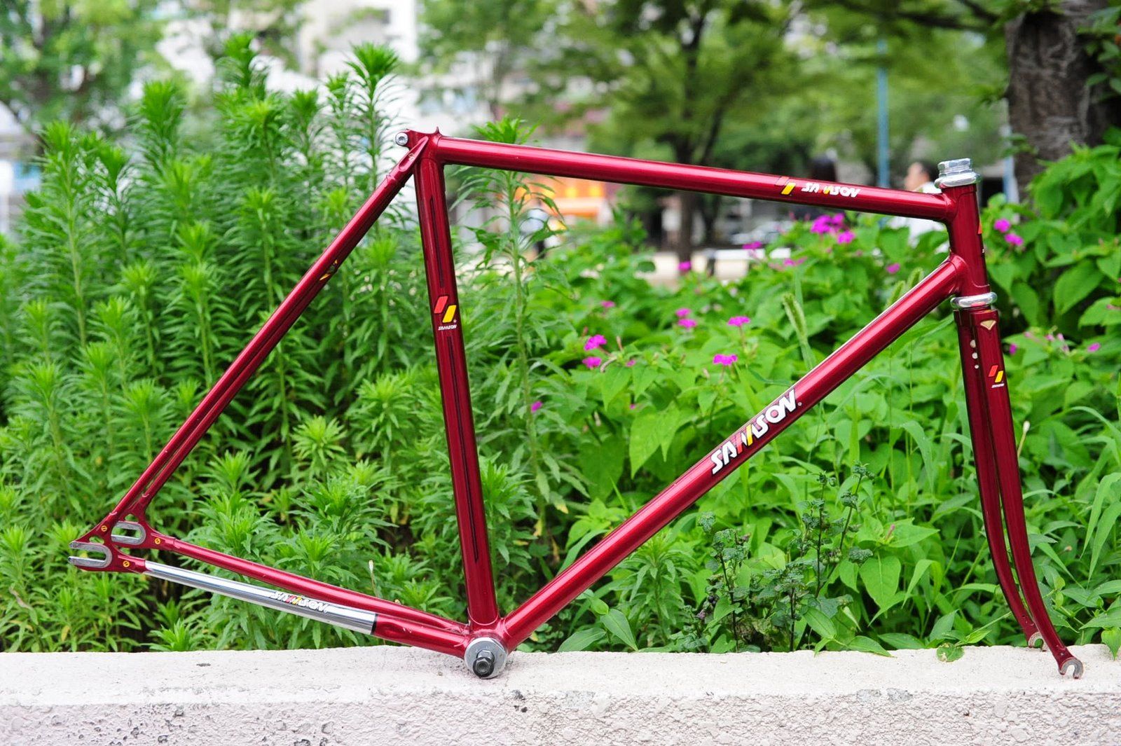 Trackframe.jpg