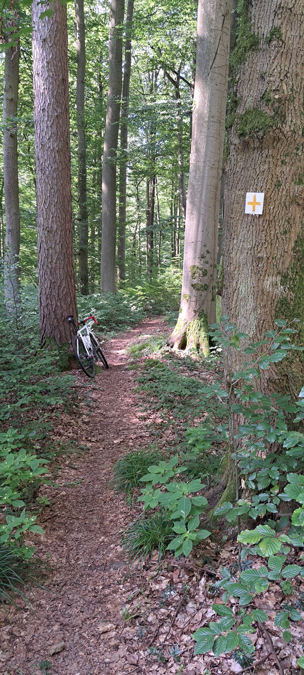 trail zur ronneburg.jpg