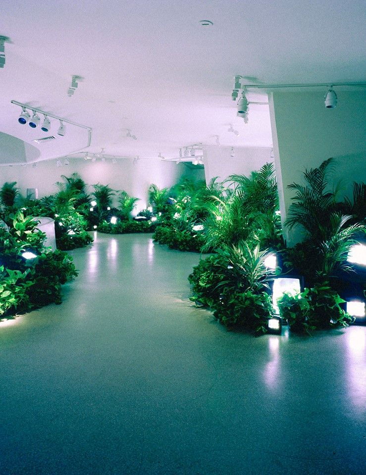 TV Garden - Nam June Paik..jpg