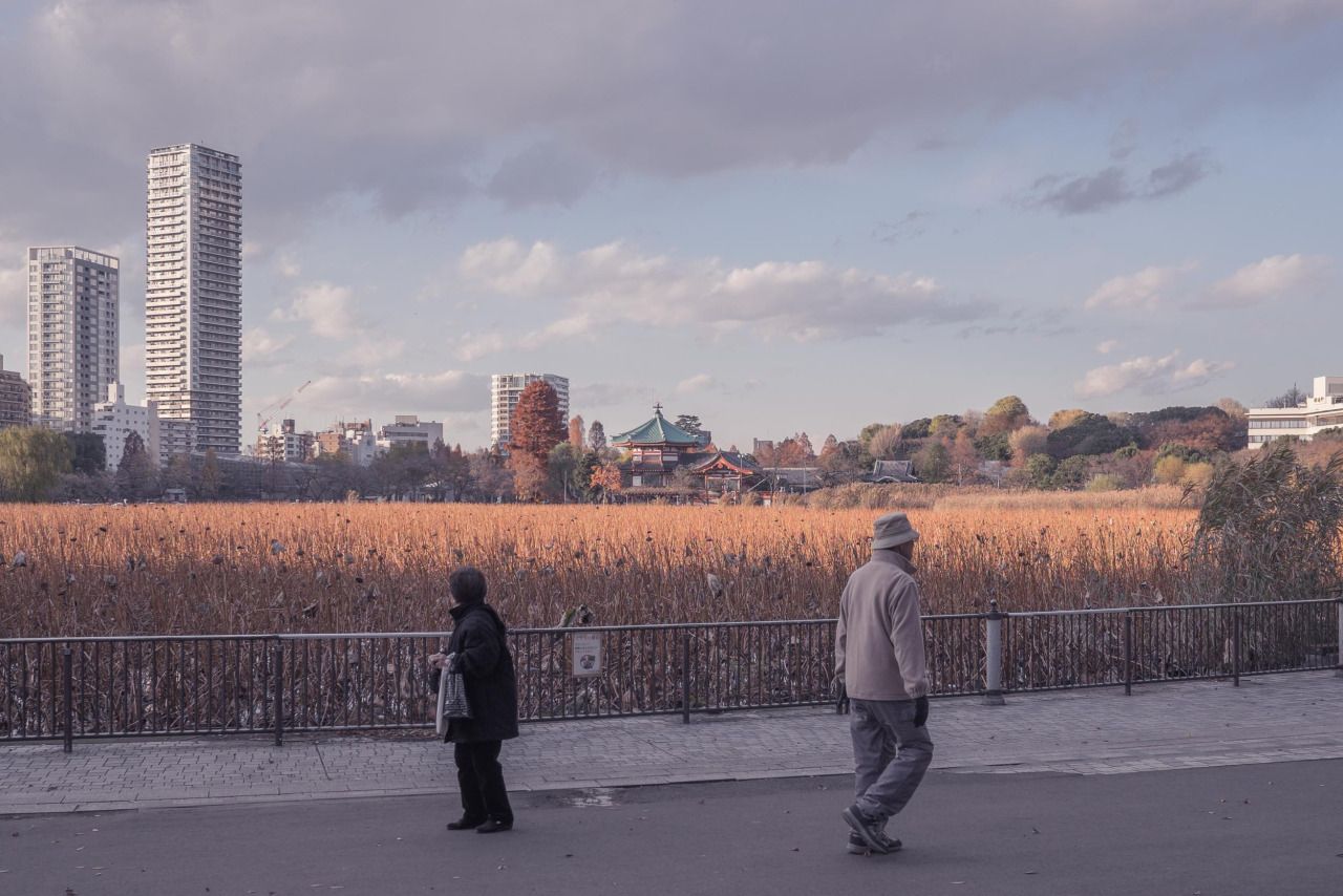 Ueno Park - © Jan Vranovsky, 2014.jpg