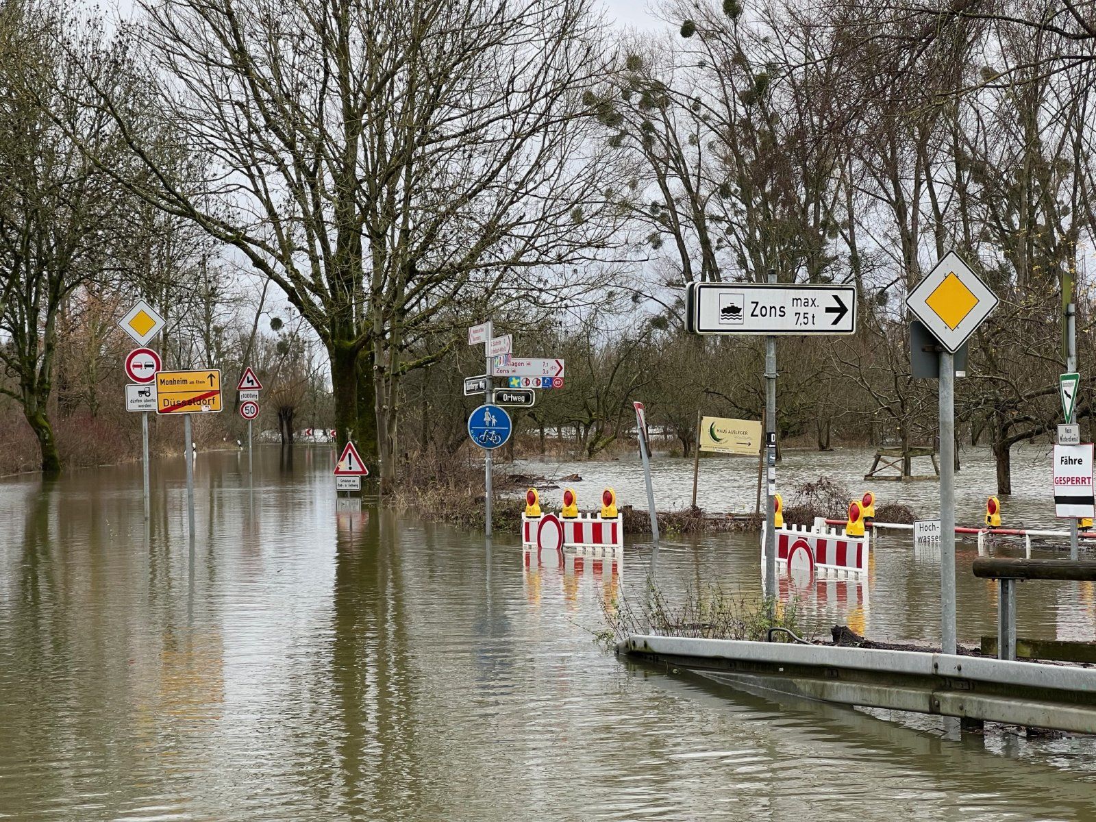 Vatta-Rhein.jpg