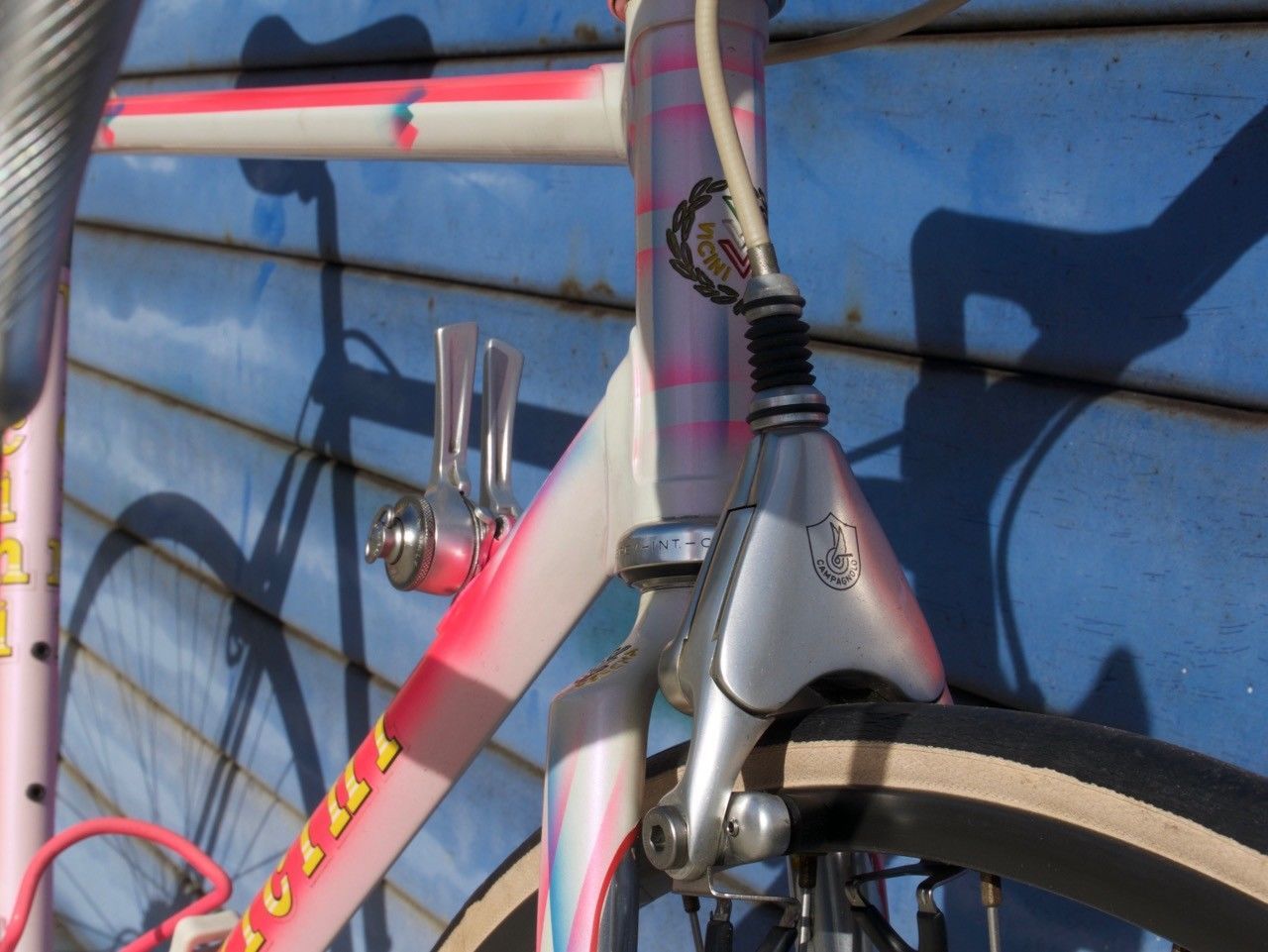 vicini ms front head tube.jpg