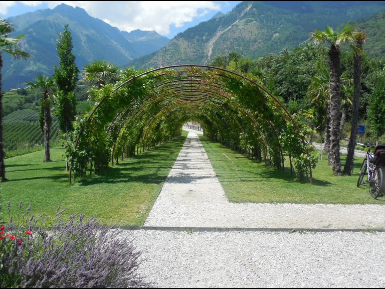 Vinschgauradweg - Erste Palmen.png