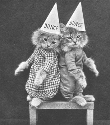 Vintage Pictures of Cats And Dogs Dressed As People (10).jpg