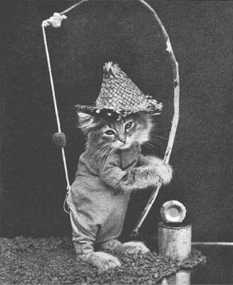 Vintage Pictures of Cats And Dogs Dressed As People (25).jpg