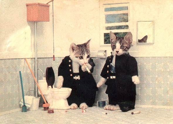 Vintage Pictures of Cats And Dogs Dressed As People (7).jpg