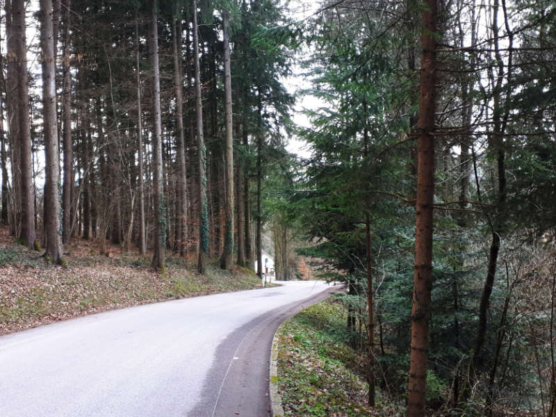 wald.jpg