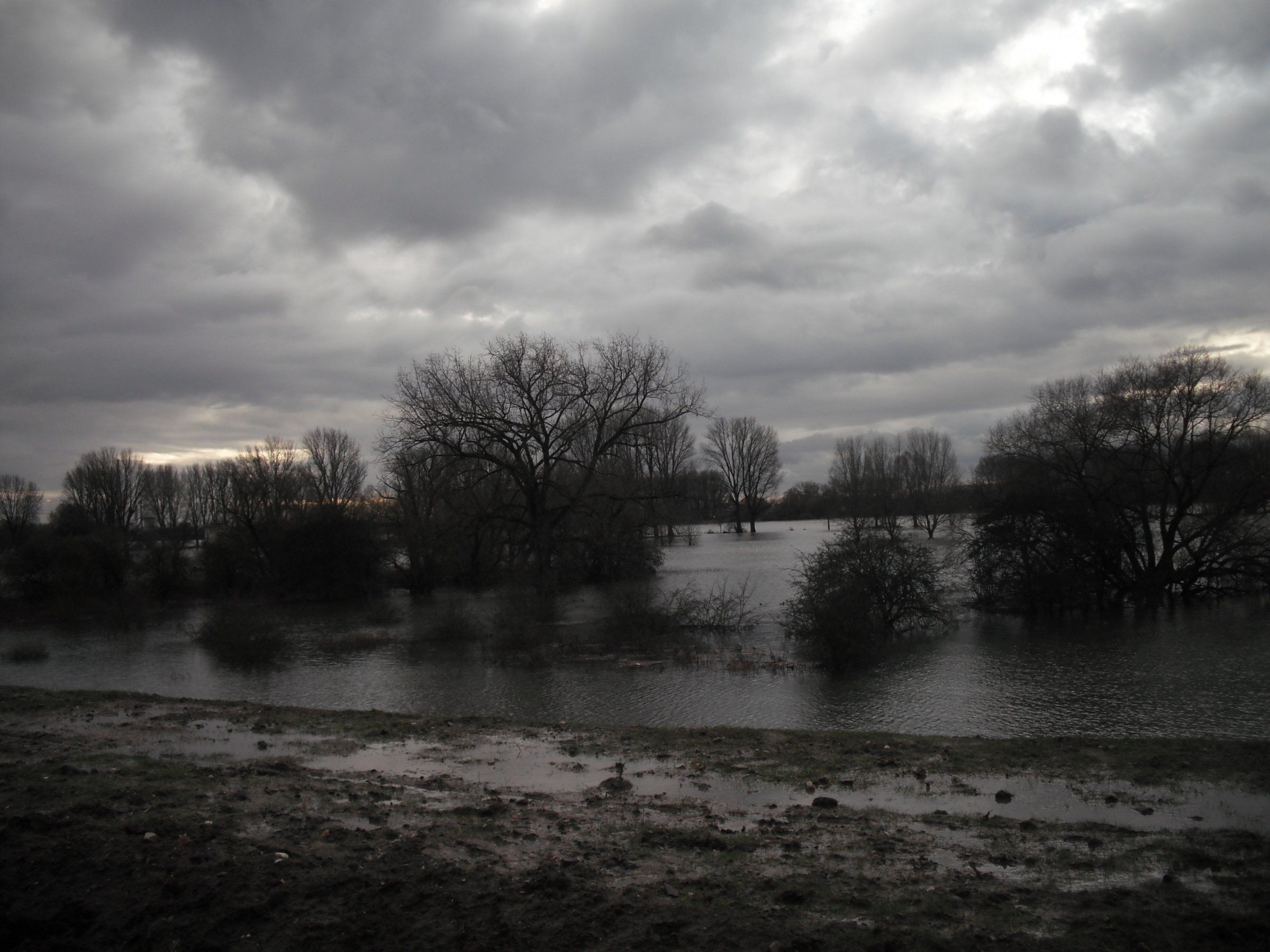 Weihnacht 2012 +Hochwasser 011.jpg