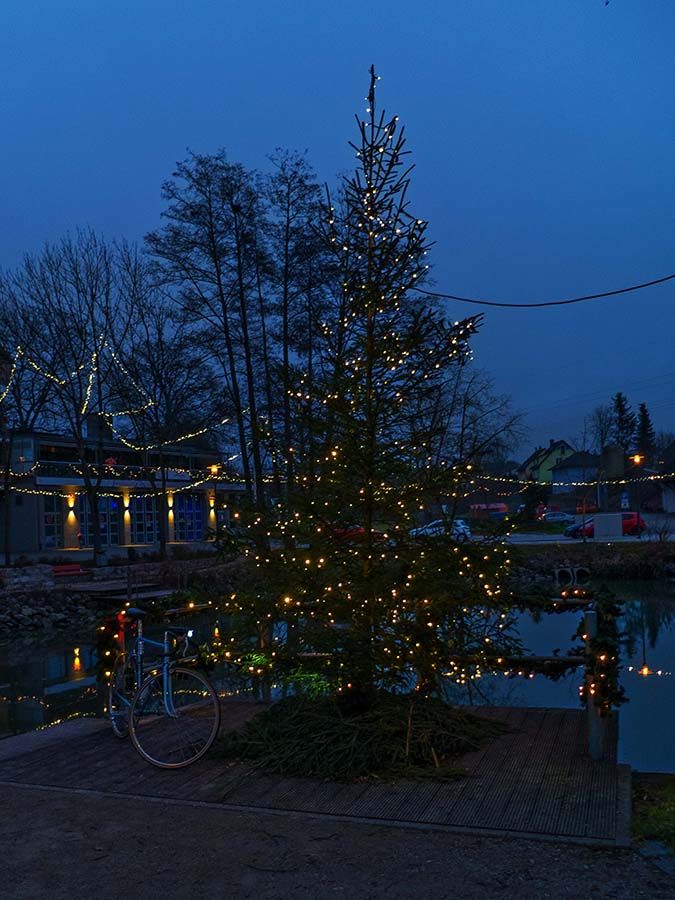 weihnachtsbaum_x.jpg