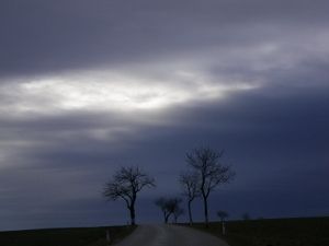 weinviertel premiere13 (5) (300x225).jpg