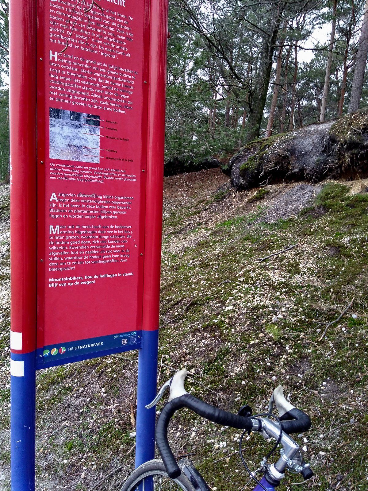 Wertärmer gewordene Infotafel in der Heide.jpg