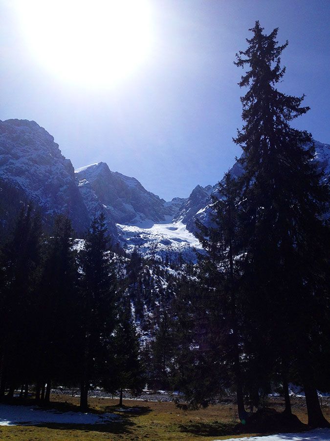 Wetterstein.jpg