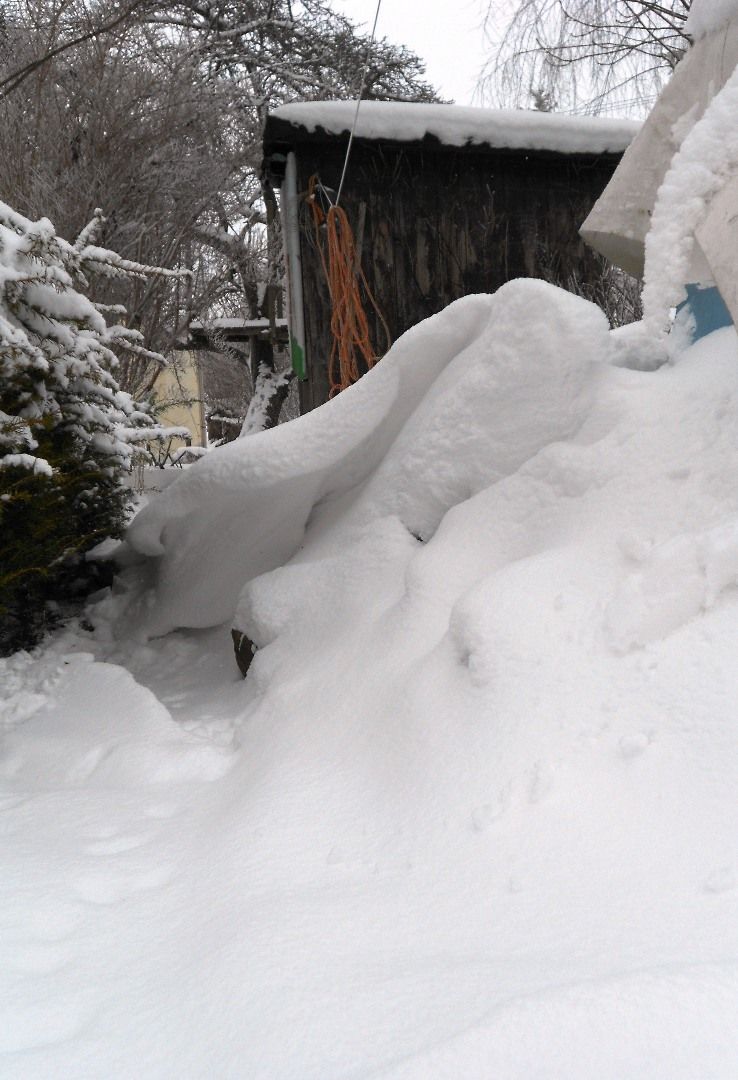 winter-zu-hause_klein.jpg