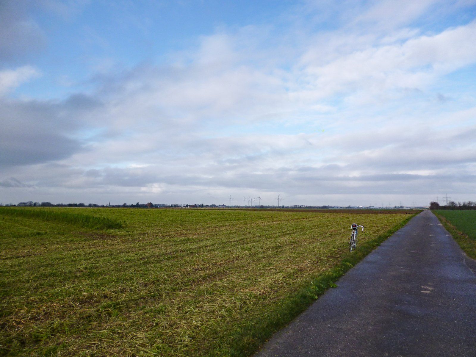 Winterstimmung am Senffeld - Kopie.jpg