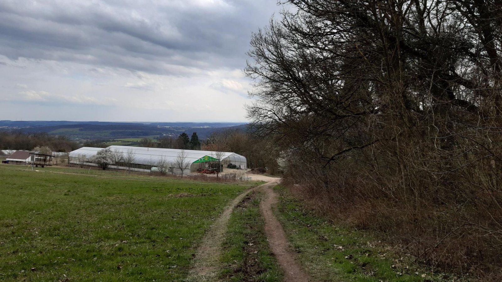 wintringer-hof-feldweg.jpg