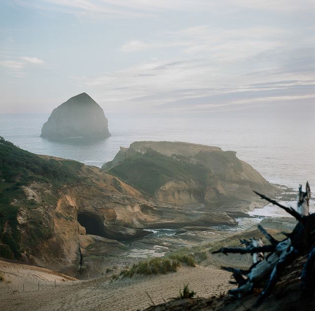 Wonderful Nature Medium Format Film Photography by Cody William Smith (10).jpg