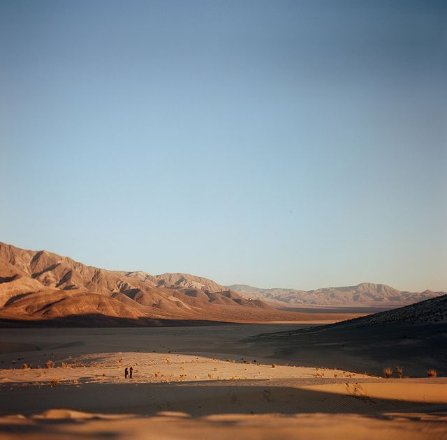 Wonderful Nature Medium Format Film Photography by Cody William Smith (12).jpg