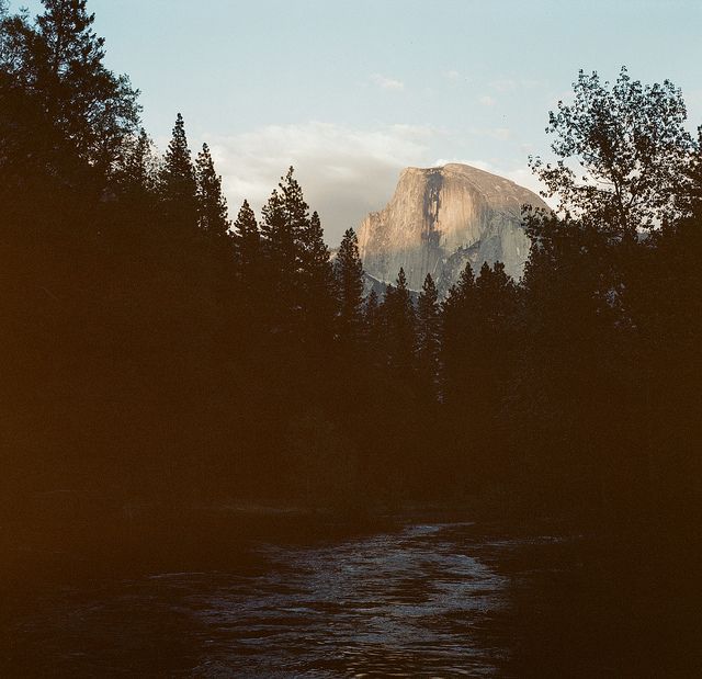 Wonderful Nature Medium Format Film Photography by Cody William Smith (6).jpg