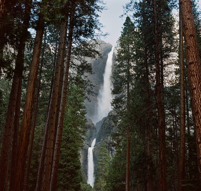 Wonderful Nature Medium Format Film Photography by Cody William Smith (7).jpg