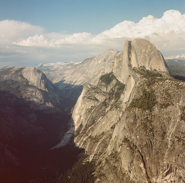 Wonderful Nature Medium Format Film Photography by Cody William Smith (8).jpg