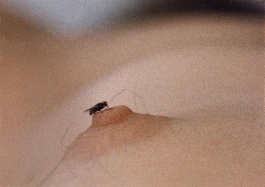 Yoko Ono - 'Fly', 1970, Filmstill (© Yoko Ono ).jpg