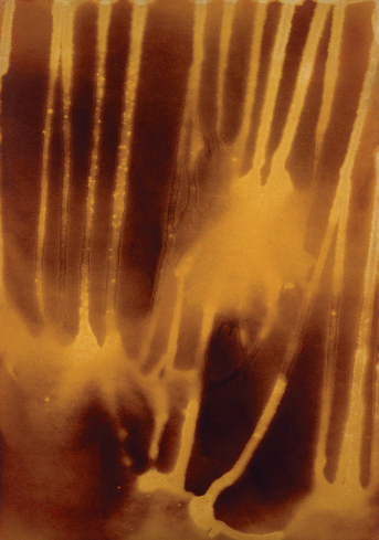 Yves Klein - Fire Paintings, 1961-62  (4).png