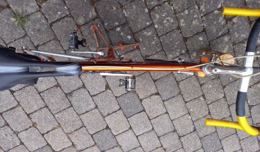 Rennrad für Herren-02-Mazzotti.jpg