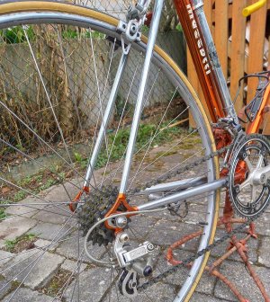 Rennrad für Herren-03-Mazzotti.jpg