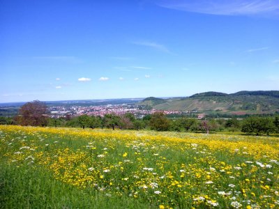 Herbst_200er_oberhalb_Metzingen1.JPG