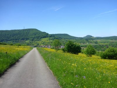 Herbst_200er_oberhalb_Metzingen2.JPG