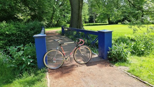 tommasini im schlossgarten.jpg