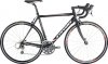 aspin_3_ _10.jpg