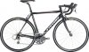 aspin_3_ _10.jpg