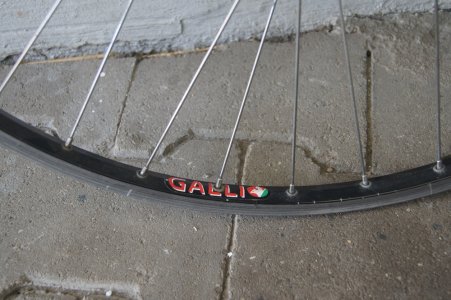 galliLRS2.JPG