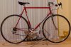 Colnago Sport (01 von 11).jpg