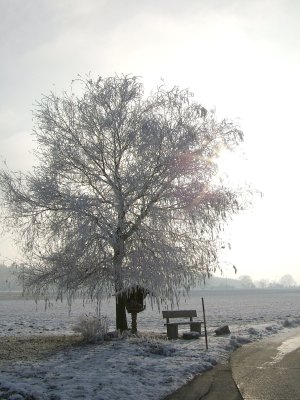 Winter_009a.jpg