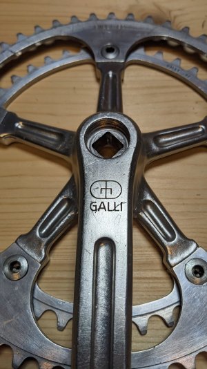 galli_4.jpg