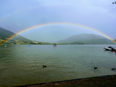 regenbogen.jpg