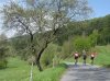 09 04 26 RR Odenwald 05.jpg