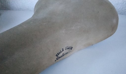 Selle Italia Anatomica (2).jpg