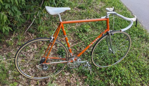 De Rosa Orange_02.jpg